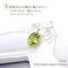 Peridot Necklace 18K K18 Yellow Gold 18K Single Grain August Birthstone [Barzaz] Women's