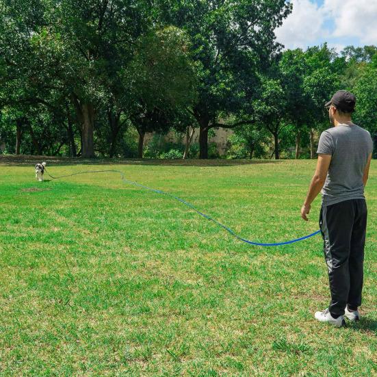 Nylon Dog Leash 6Ft 10Ft 16Ft Heavy Duty Leash with Comfortable Grip Training Leash for Medium Large Dogs Outdoor Walking Hiking