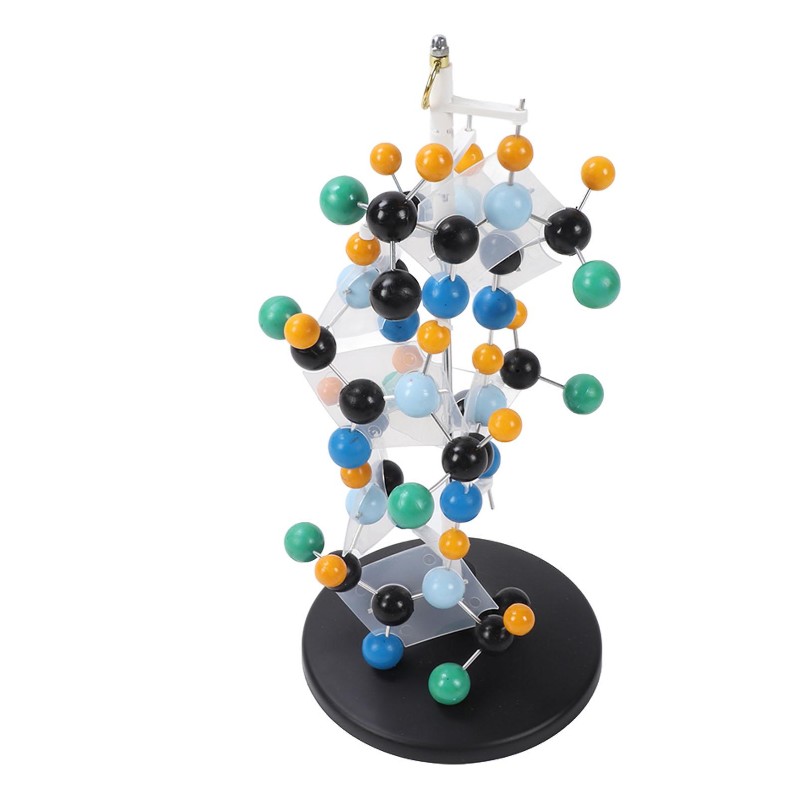 

Protein Molecular Model Plastic QH3212‑2 Molecular Structure Model for Classroom School