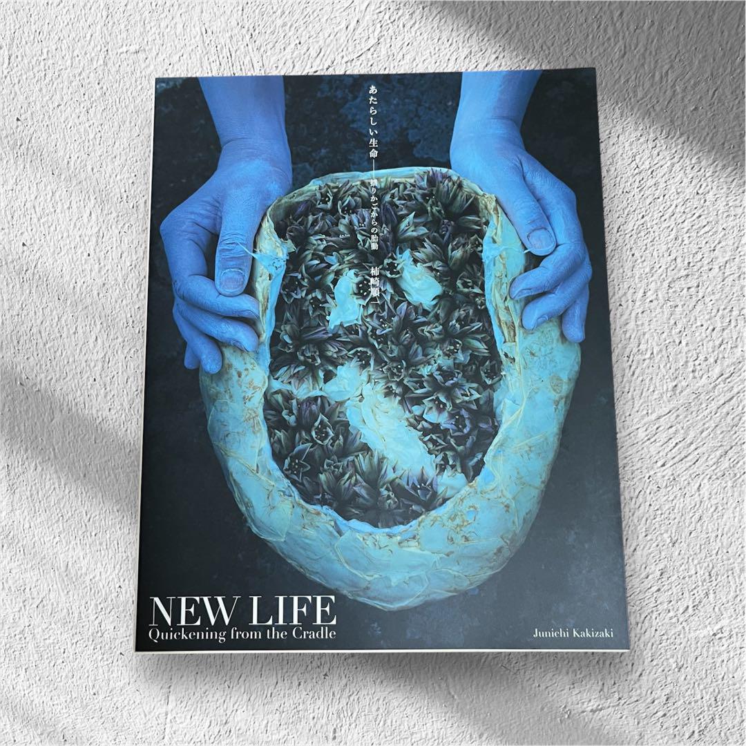 

[USED] Junichi Kakizaki Collection: A New Life - Stirrings from the Cradle