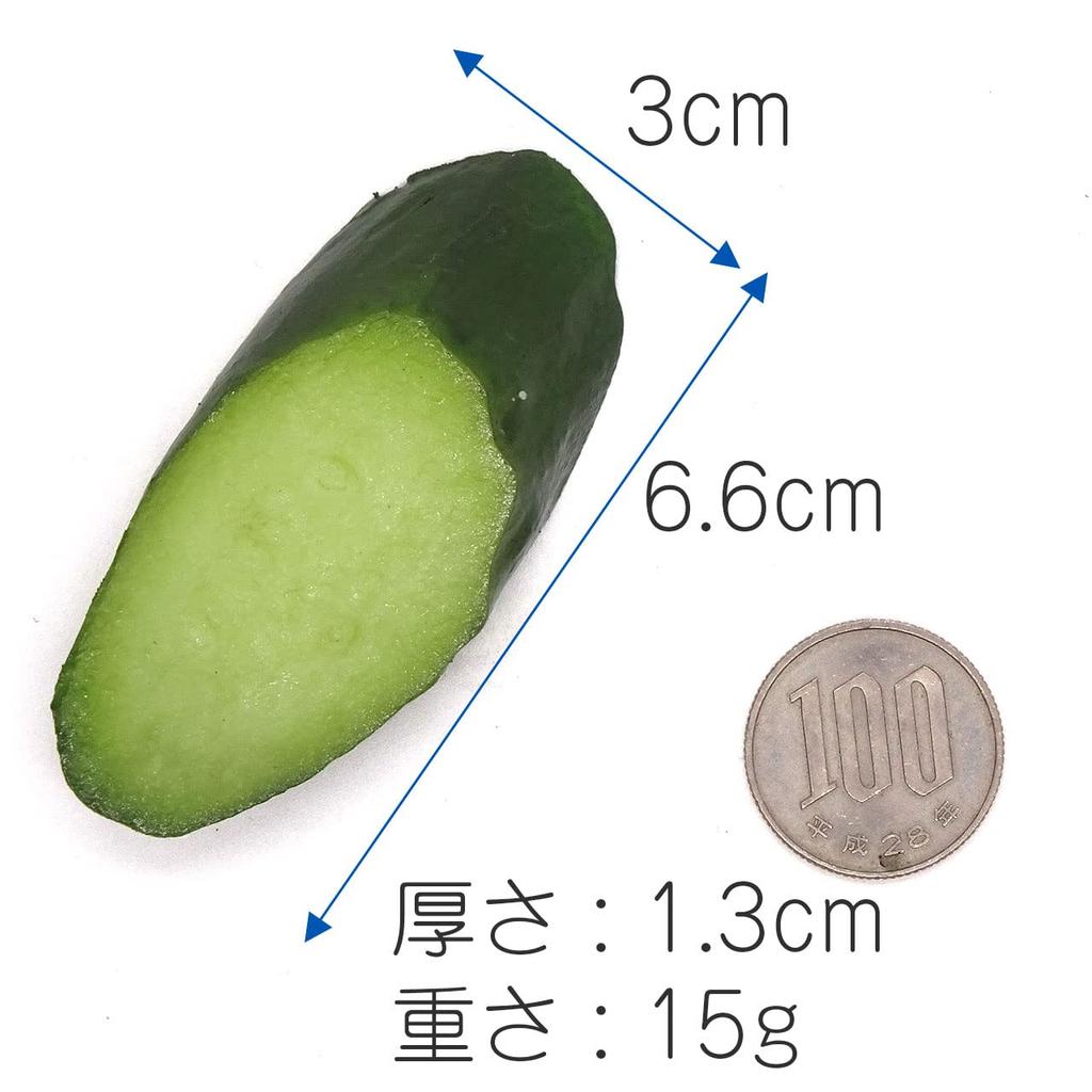 Food Sample Magnet Cucumber Slices Look Like You Want To Eat Them 362M - - -