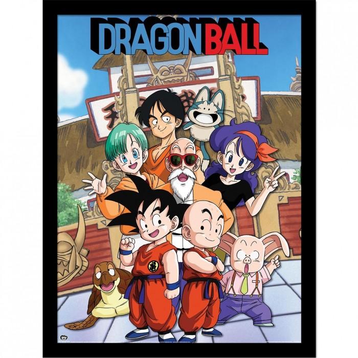 Dragon Ball Budokai Squad Framed Poster
