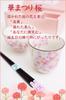 Birthday Present Tea Cup Mino Ware Gift Wrapped Made In Japan Hana Matsuri Rice Bowl Tea Cup with Tenpo Chopsticks Card (Message B)