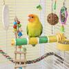 Wear-resistant Bird Claw Grinding Rod Non-slip Parrot Grinding Stand  Pet Bird Supplies