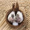 Home House Decoration Nature Bird Nest Birds Egg Realistic Feathered Artificial Craft Birds