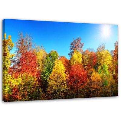Leinwandbild, Herbstbäume