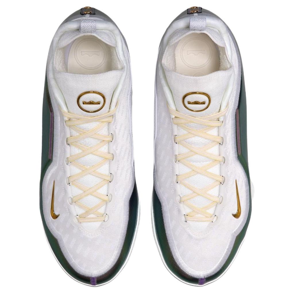 Nike Lebron 23 Elite EP For The Record Comfortable Fit Basketball Shoes Men sneakers White IB9558-100