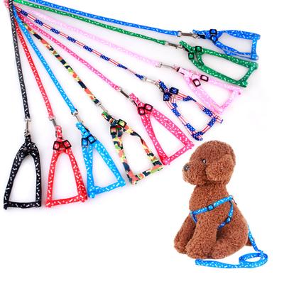 Günstige Kleine Hundeleine Welpenleinen Teddy Haustierleine und Geschirr Set Niedliches Leinenseil Set Katze Kätzchen Leine Haustier Sachen Dekoration