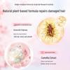 Adolph Plant Extract Nourishing Shampoo & Conditioner Set