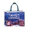 Christmas Style Laminated Non-Woven Gift Bag for Clothing & Shopping