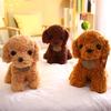 Teddy Dog Plush Toy Doll Puppy Doll Cute Poodle Gift for Children