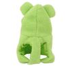 Frog Shape Parrot Frog Costume Green Color Pet Bird Hoodie Cute Small Animals Clothes  For Parrots