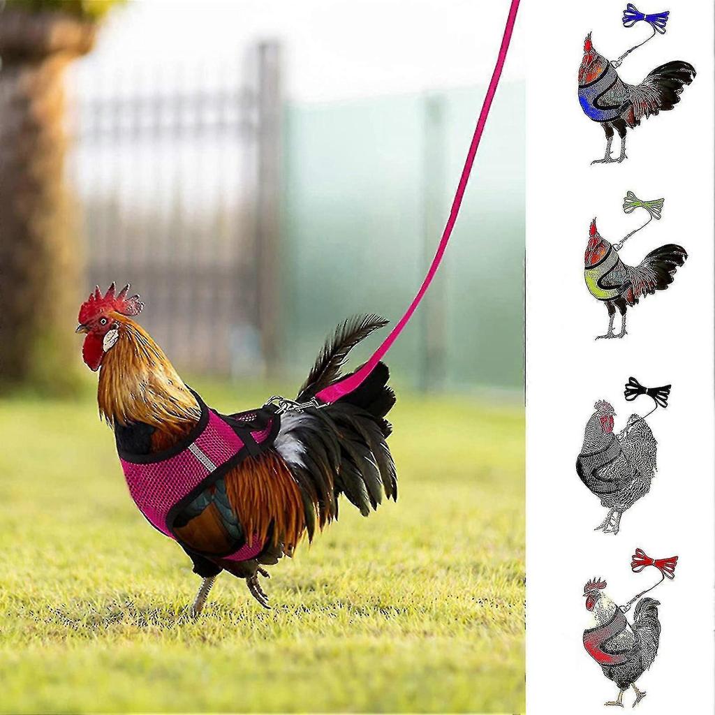 1 Juego de Arnés para Pollo con Correa Transpirable Ajustable Chaleco para Aves de Corral Patos Pollos para el Patio Trasero
