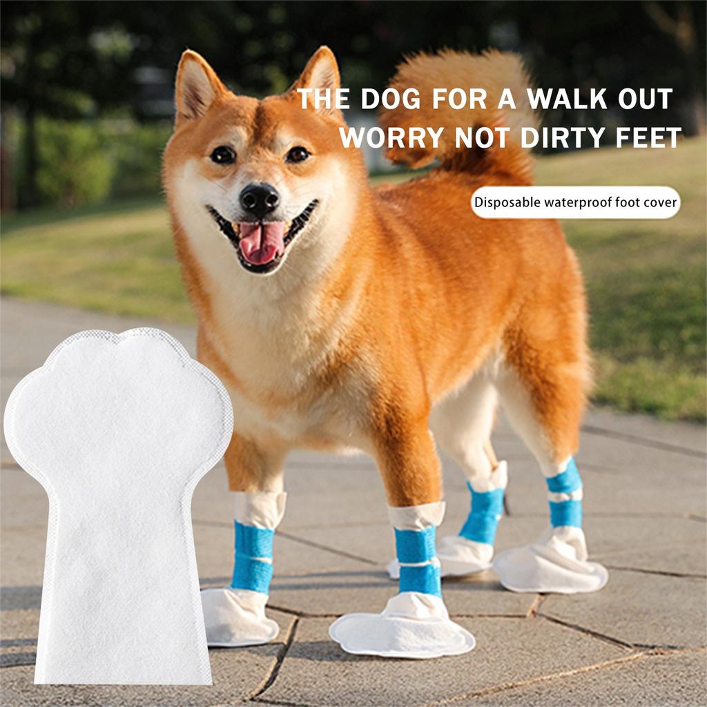 20 Disposable Pet Foot Boots For Real, Cats And Dogs Feet, Pet Cat, Dog Supplies With Blue Bandage