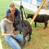 Heavy Duty Calf Weighing Sling Adjustable Animal Carrier Sling  For Dogs Pigs Lambs Goats Calves