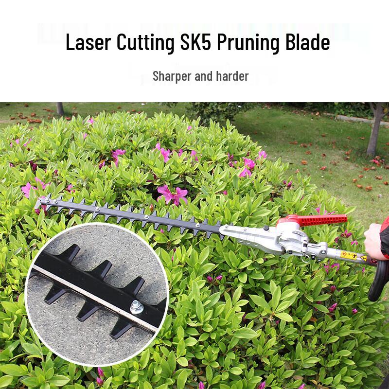 Aosheng Jixie KD260 Gasoline Hedge Trimmer CN plug (adapter included)