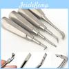 Élévateur Dentaire Extracteur Dentaire Extraction de Couronne Élévateur Minimaliste Dents Orales Desserrage Outil Élévateur d'Extraction de Racine