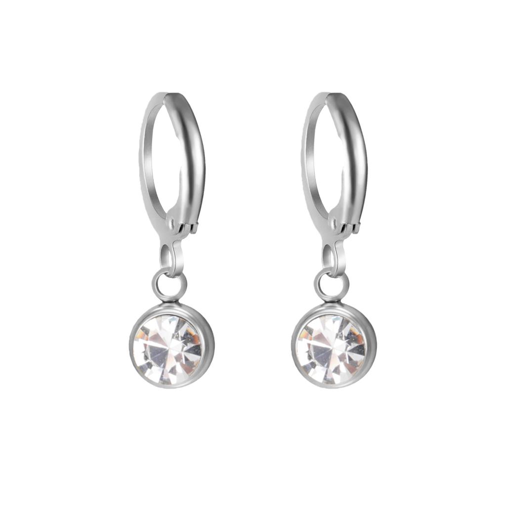 Birthstone Earrings Hoop Earrings Girl Women Stainless Steel Jewelry Family Friend Birthday Valentine's Day Gifts 2025 Trend