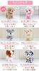 Mother Garden Tokotoko Walking Bichon Frise Peach [Moving Stuffed Animal Dog Electronic Pet] 506-21555