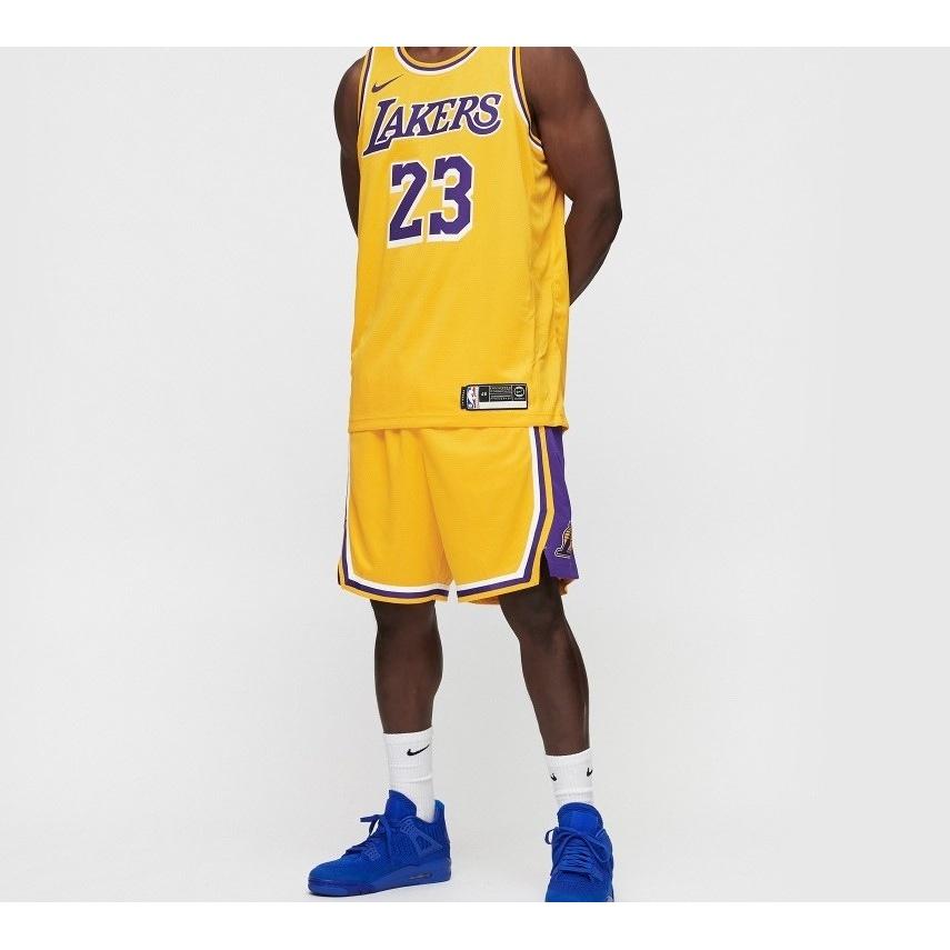 Nike LeBron James Icon Edition Swingman Los Angeles Lakers Yellow Men's AA7099-741