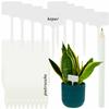 Labels For Describing Plants Seeds Seedlings Tags Markers 31Pcs