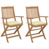 Day and Night - Day and Night Folding Garden Chairs 2 Units and Cushions Solid Acacia Wood