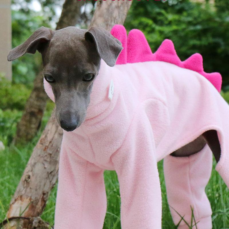 Dinosaurier Hundekleidung Herbst Winter Dicke Fleecekleidung Italienischer Kleiner Lingbit Vierbeiniger Hundekleidung Halloween Weihnachtsgeschenk