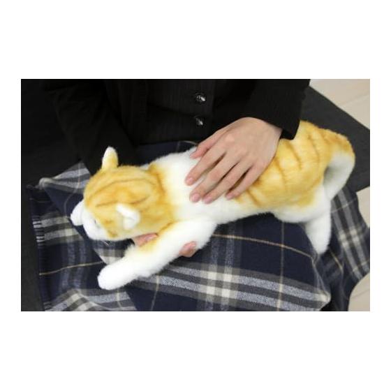 Doshin Real Series Made in Japan Realistic Cat Plush Toy 58cm Black Cat L Sleeping