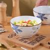 Hegawaya Japanese Ceramic Noodle & Rice Bowl Set