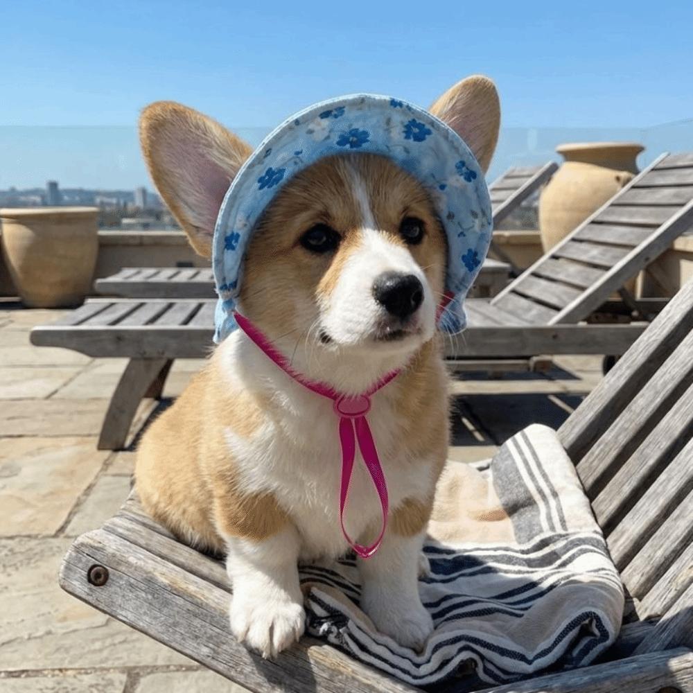 Round Brim Pet Sun Hat Floral Pattern Adorable Pet Hat Dog Sunscreen Hat  Small Medium Pets