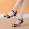 Sandals women's summer new thick heel open-toe one-word buckle medium heel metal decorative fashion sandals