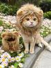 Nuovi Animali Domestici Carini Divertenti Vestiti Cappello Gatto Carino Parrucca Leone Criniera Costume Cosplay Gattino Cane Cappello Con Orecchie Forniture per Feste Fantasia
