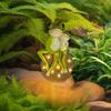 Solar Garten Frosch Dekor, Hof Ornament, Kreativ, Lustig Einzigartig Miniatur Statue Harz Niedlich