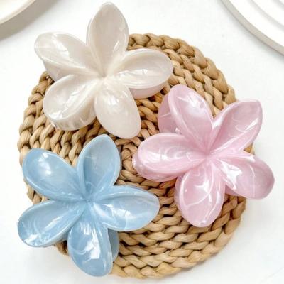 Haar-Accessoires – Haarklammern