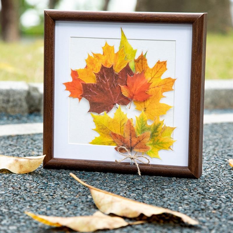 Leaf Sticker Removable Adhesive PET Sticker Label for Notebook Journal Phone Case Scrapbooking and Gift Wrapping