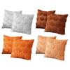 Luxurious Soft Plush Fall Pumpkin Pillow Cover Set of 2,Autumn Cushions Cover  Perfect for Living Room Bedrooms