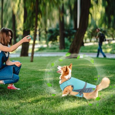 Imbracatura Raffreddante per Cani Imbracatura Raffreddante per Cani Gilet Estivo Protezione UV Camicia Regolabile Outfit per Animali Domestici per Cucciolo Piccolo Medio Escursionismo