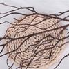 Simulation of 4-fork Willow and Rattan Flower Arrangement Supplies Home Accessories Artificial Simulation Flower Soft with Dead