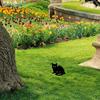 Acryl Katze Garten Dekorative Pflanzstecker Outdoor Gartendekor Haushaltssilhouette Pflanzstecker Für Höfe Garten Hauswaren Und Einrichtungsgegenstände
