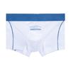 Men Underpants Man Cotton Glow Fluorescence Boxer Men's Panties Plus Size Panties Underwear Shorts Luxury Underwears