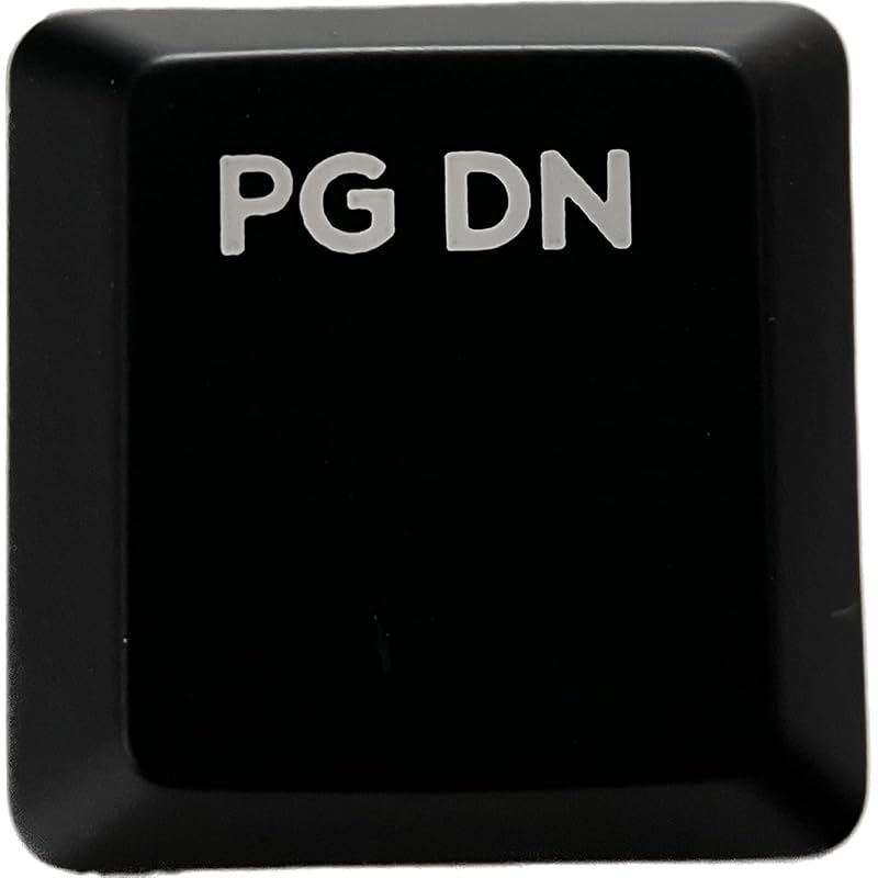 

logitech G913/G913TKL/G915 replacement keycaps [Sold as 1 piece] (Light-emitting compatible) [BERGBUCH] (PGDN, Black)