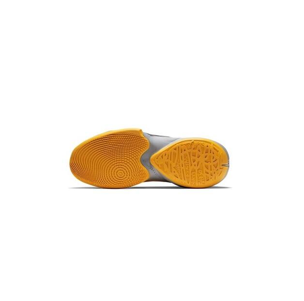 Кроссовки баскетбольные Nike CK5424-006