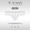 Low Rise Briefs Transparent Mesh Underwear Men Sexy Ultra Thin Knickers Bulge Pouch Underpants See Through Ice Silk Lingerie