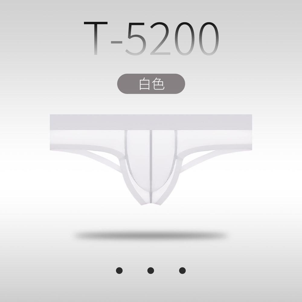 Low Rise Briefs Transparent Mesh Underwear Men Sexy Ultra Thin Knickers Bulge Pouch Underpants See Through Ice Silk Lingerie