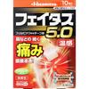 Hisamitsu Pharmaceutical Fitas 5.0 Warm Sensation 10 Sheets Plasta (Warming) Paste Efficacy: Joint Pain, Muscle Pain, Lower Back Pain, Tendonitis, Pai