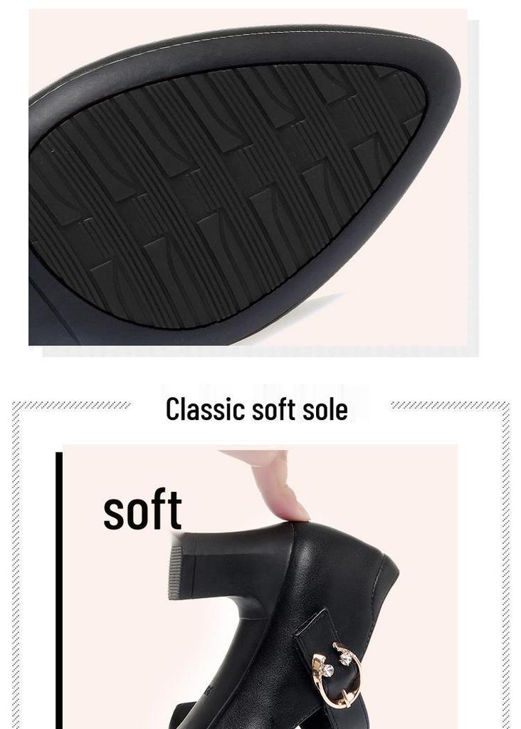 Women's Soft Sole Chunky Heel, Round Toe Leather Shoes - Spring/Autumn 2026, Single Buckle, Medium Heel