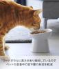 Yamazaki Ceramic Pet Food 12cm W X 12cm D X Tower Food and Water Dishwasher and Microwave Product 1781 Easy-to-Eat Bowl, Tall, White, Approx. 11.5cm
