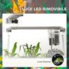 20L Glass Aquarium with LED Lights, Filter and Water Pump, 38x26x27 Cm, White