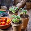 Biodegradable Seedlings Pots Garden Plant Nursery Pot with Drainage Holes Flower Vegetable Seed Starting Trays Gardening Tool