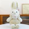 Cute little rabbit plush toy doll soft cute little rabbit doll for children's birthday gift